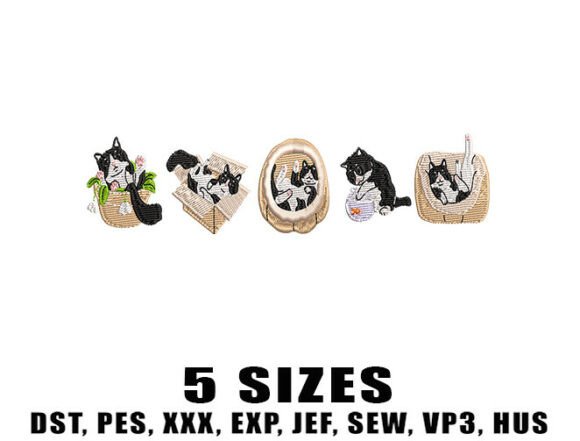 Boxed Cats Embroidery Designs Review