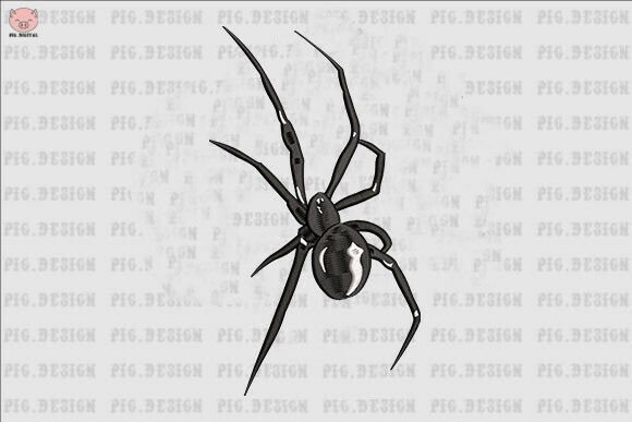 Reviewing Spider Embroidery for Real Projects